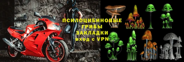 PSILOCYBIN Карпинск