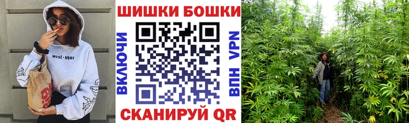 Шишки марихуана OG Kush  Купить где  Сальск 